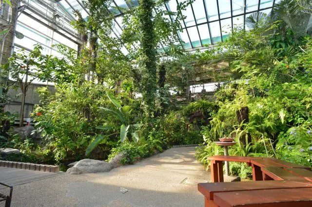 🏞️ 모토후치에 공원 이미지 6